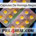 Cápsulas De Hormiga Negra new10